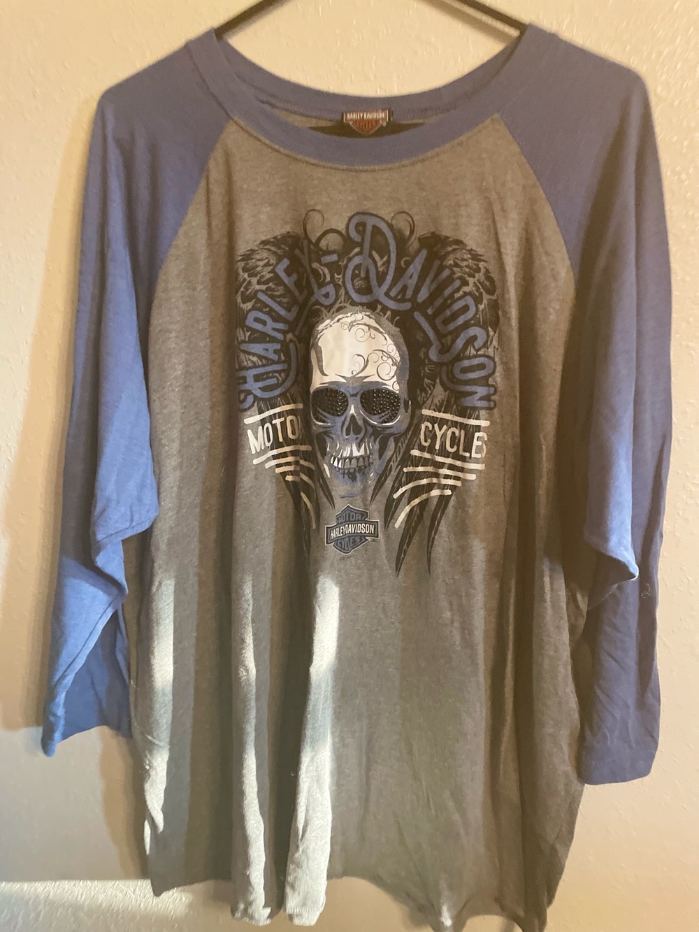 Harley-Davidson Raglan Long Sleeve Shirt with Skull Graphic - Blue & Gray